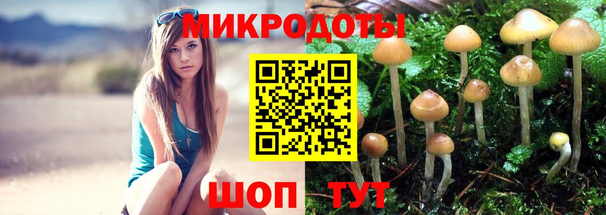 Псилоцибиновые грибы прущие грибы Пенза